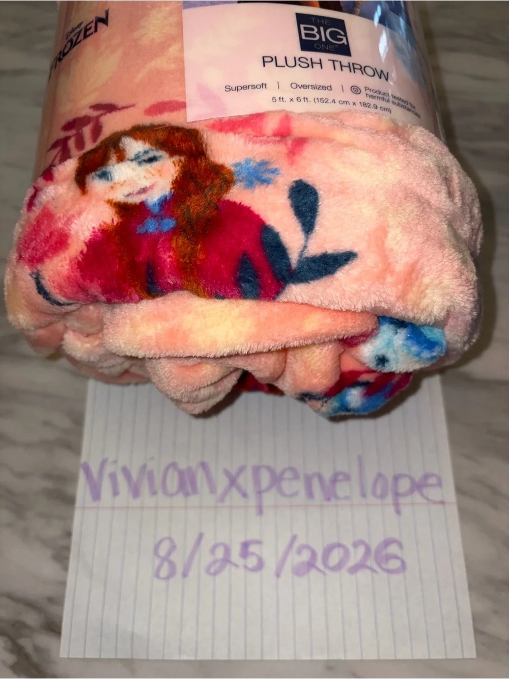 NEW Disney Frozen Anna Elsa Plush Throw Blanket 5x6 FT The Big One Pink Fleece